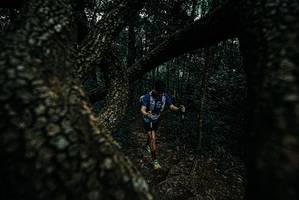 BIB: 
                            <button type="button" onclick="openModal(25688276)" class="btn btn-primary btn-sm float-right btn-popup" data-toggle="modal" data-target=".modal-high-quality">
                        <i class="fas fa-shopping-cart"></i> Add to Cart
                    </button>
                                            <button type="button" onclick="isThisMe(25688276, true)" class="btn btn-success btn-sm float-right btn-popup btn-isme hidden" data-toggle="tooltip" data-placement="bottom" title="นี่คือรูปของคุณใช่ไหม คลิกที่นี่เพื่อเอาเข้าอัลบั้ม">
                        <i class="fas fa-plus"></i> Add to album
                    </button>
                    <button type="button" onclick="isThisMe(25688276, false)" class="btn btn-warning btn-sm float-right btn-popup btn-isnotme hidden">
                        <i class="fas fa-ban"></i> Remove from album
                    </button>